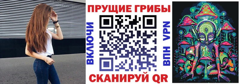 Псилоцибиновые грибы ЛСД  Купить закладки  Шали 